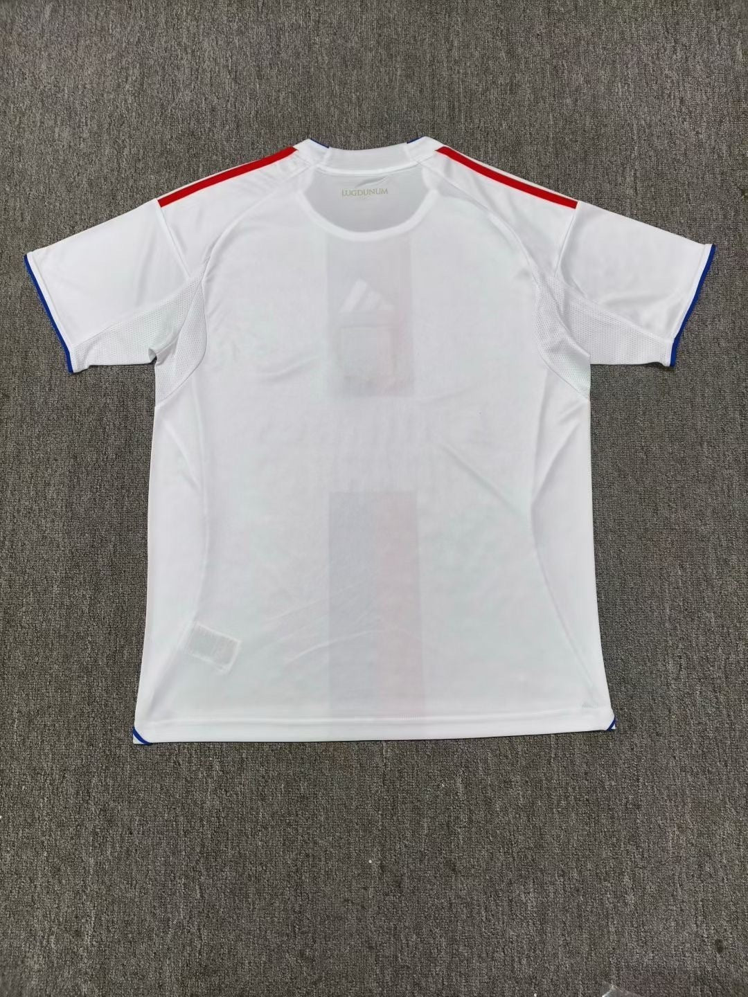 25-26 Lyonnais home