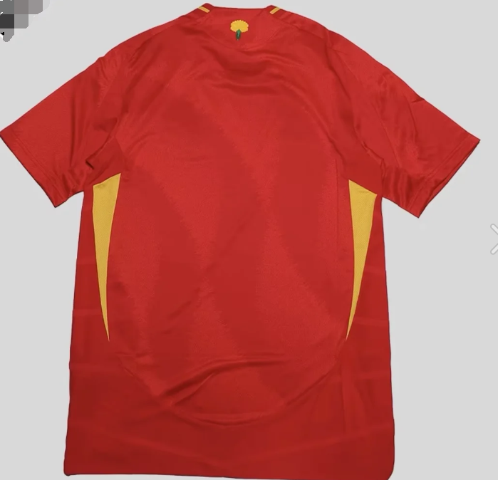 2024 Spain home
