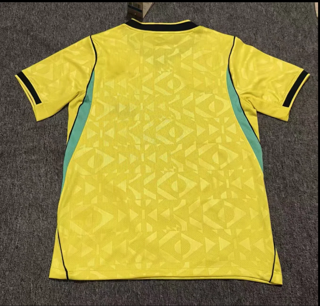 2026 Brazil home