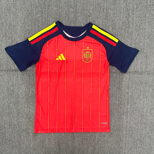 2026 Spain home